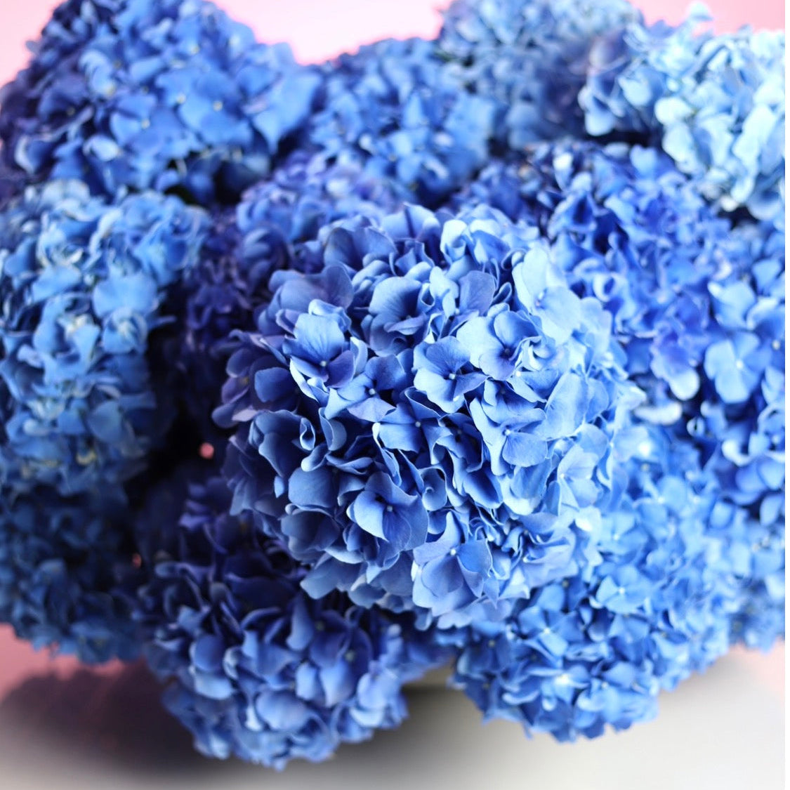 LUXE BLUE HYDRANGEAS – Lush Luxury Blue Hydrangea Arrangement $295 | Chicago Florist