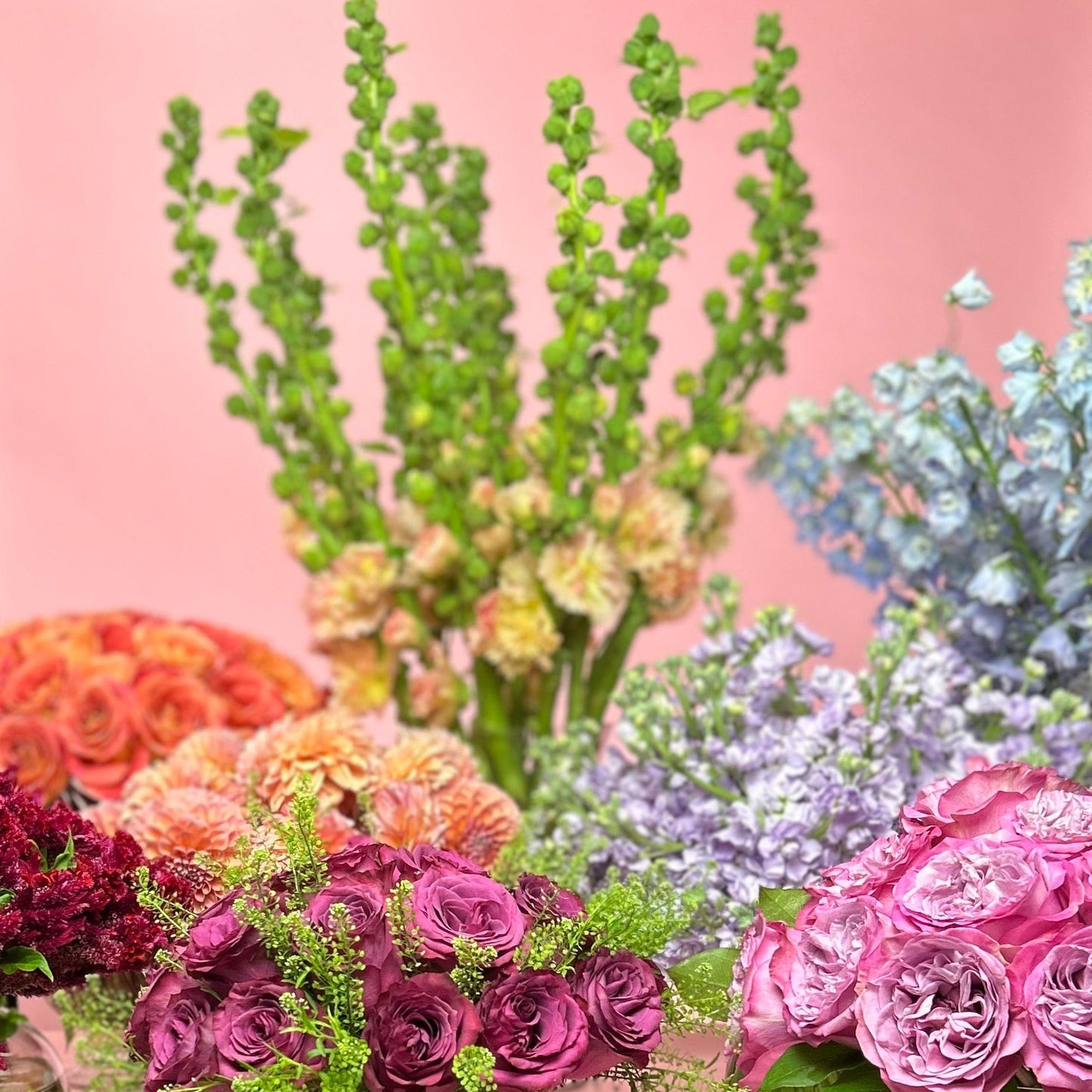 Designers Choice Fresh Flowers