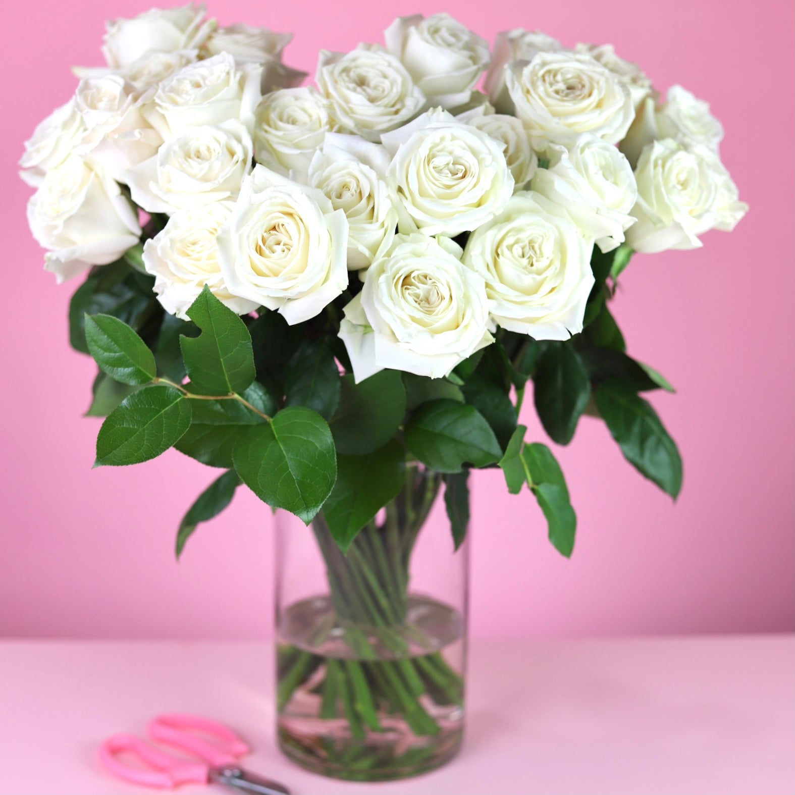 ROSE SURPRISE – Fresh Luxury Rose Bouquet $200 | Same-Day Chicago Flower Delivery