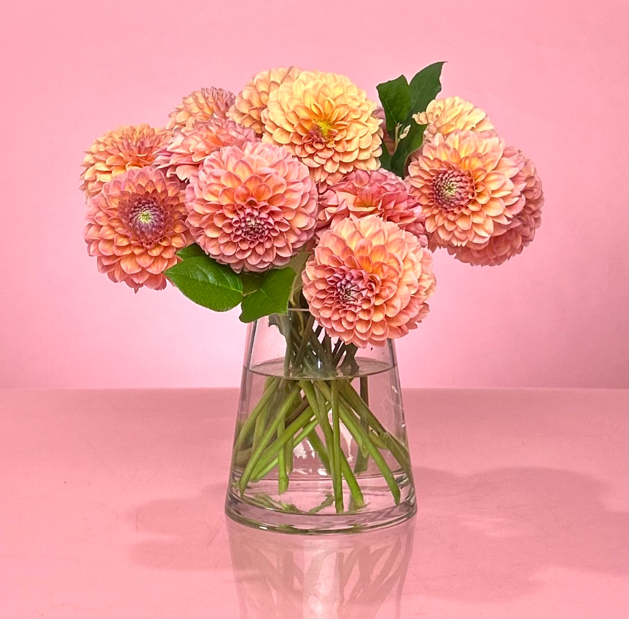 TANGERINE BLISS