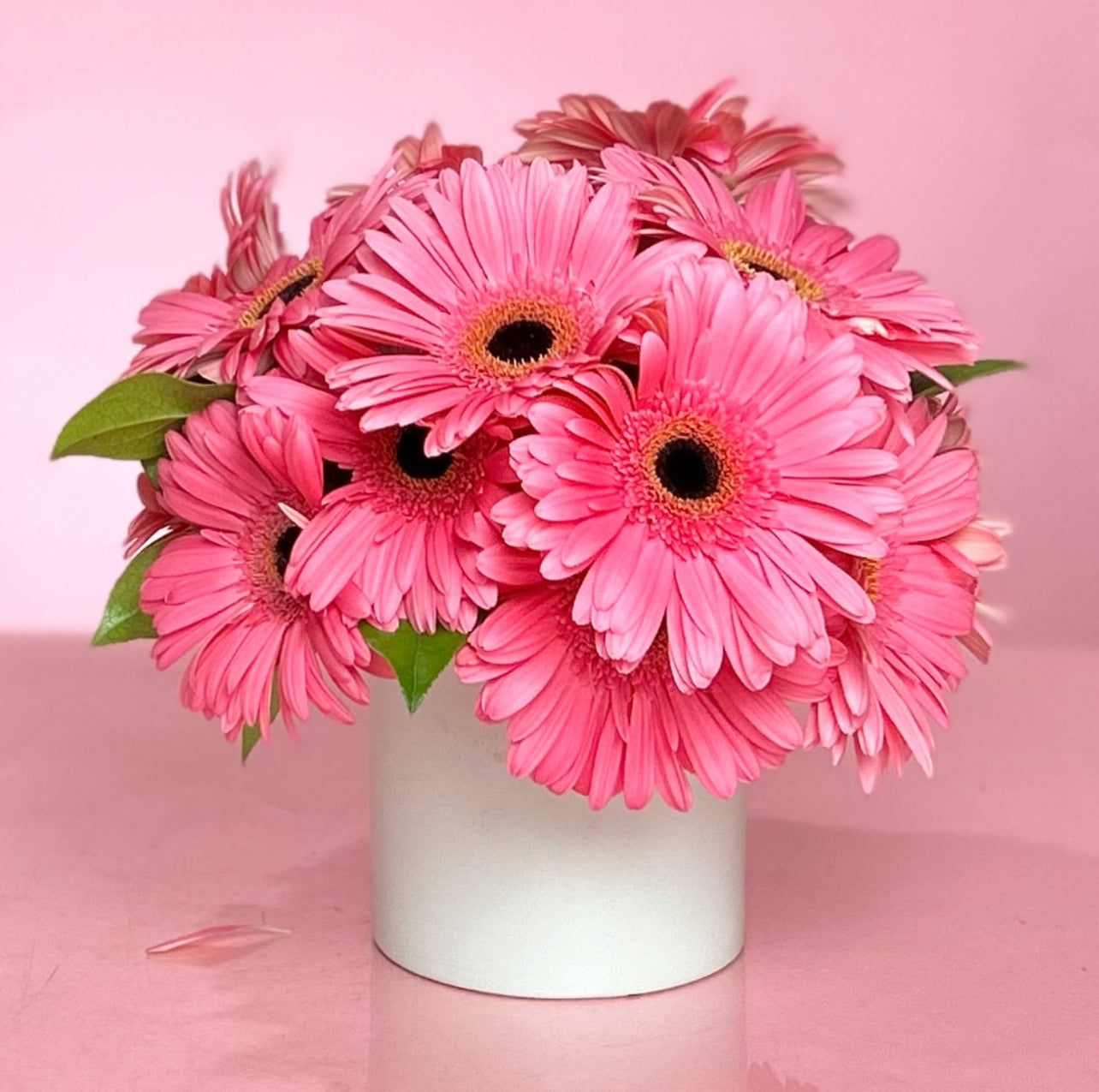 SWEET GERBERAS