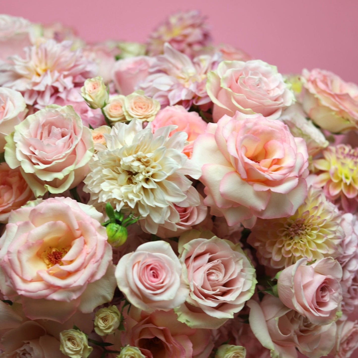 Mother's Day Flowers