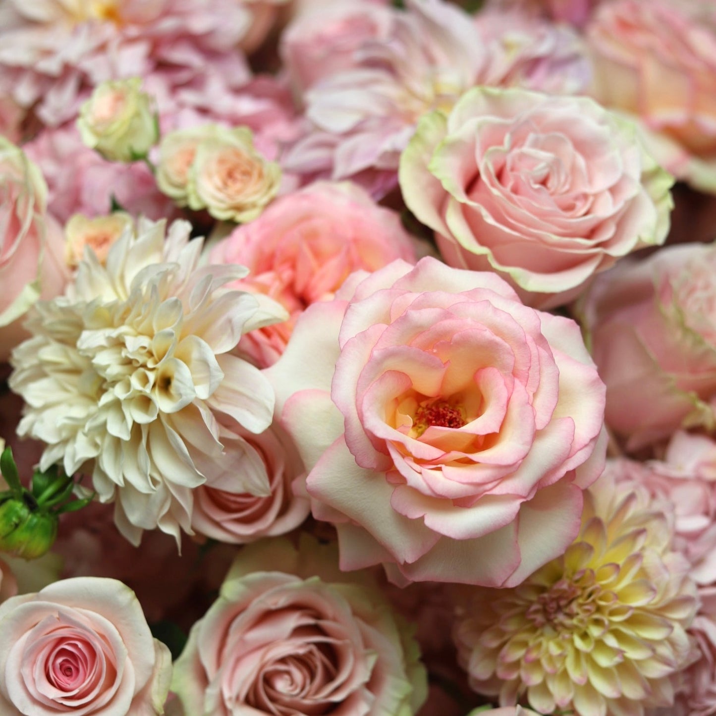 Mother's Day flowers
