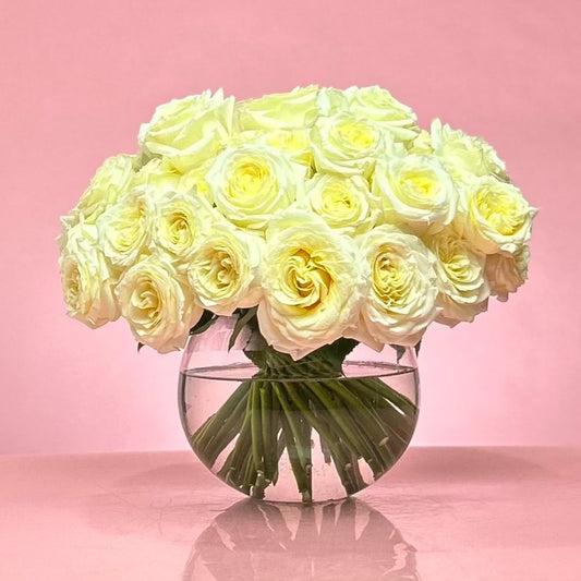 Blanco Simple - from $150