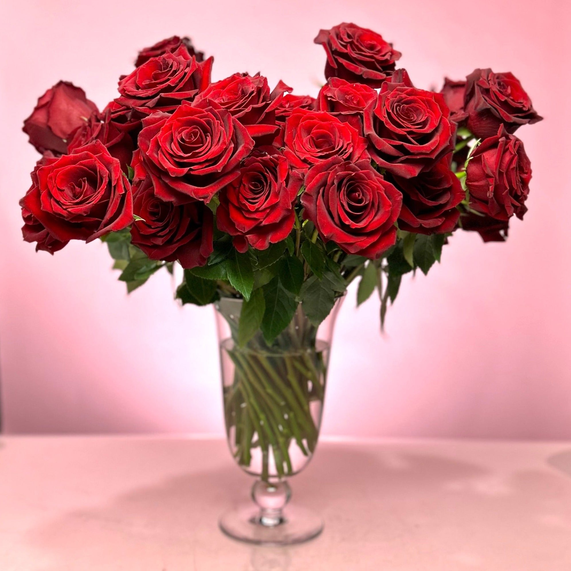  buy roses Chicago florist 