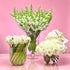 flower subscription Chicago