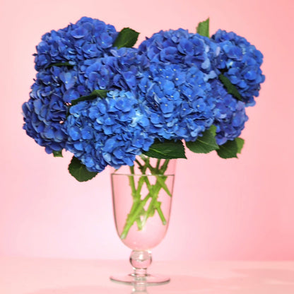blue hydrangea bouquet Chicago
